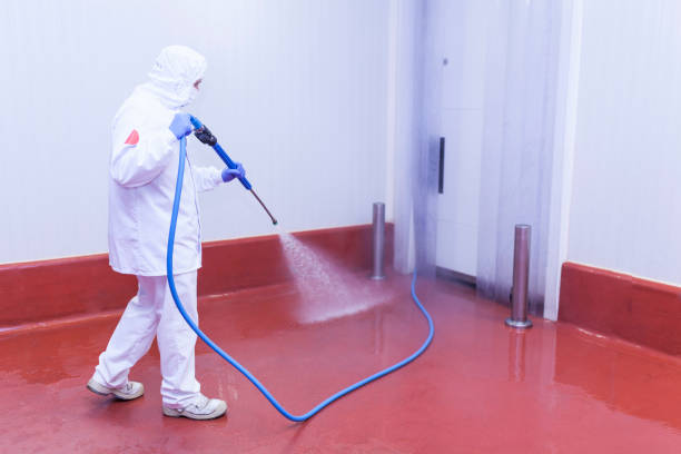Best Winterizing Services  in Derry, PA